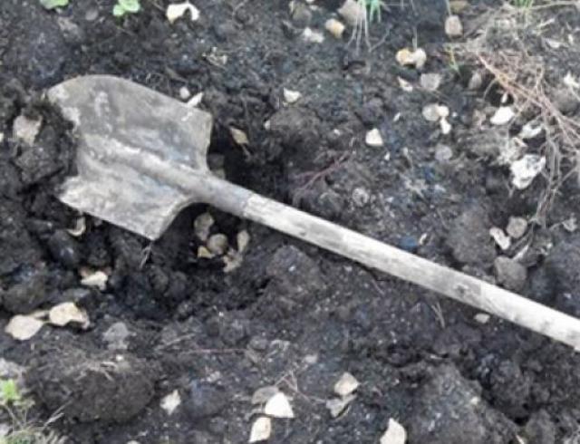 В Архангельской области бутлегер похитил человека и заставил его копать себе могилу