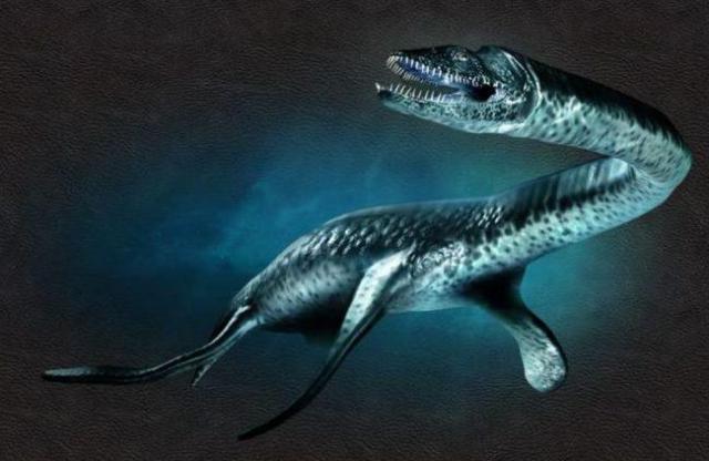 В Архангельской области обнаружены останки плезиозавра 