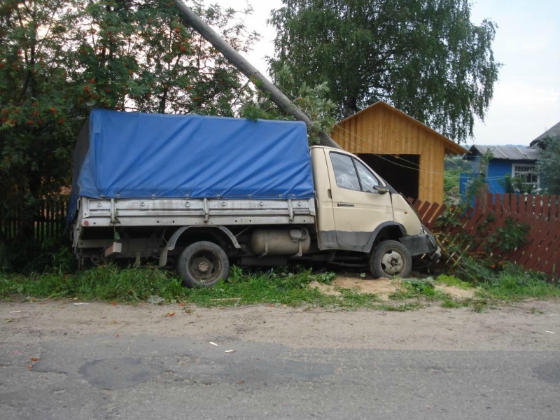 Фото газели в кювете. Газель в кювете летом. Газель в кювете летом фото.