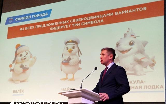Северодвинцы выбирают символ города: белёк, чайка или акула-подводная лодка