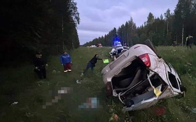 Кошмарное ДТП в Плесецком округе: погибли пять человек